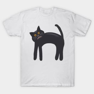 Folk Art Scaredy Cat T-Shirt